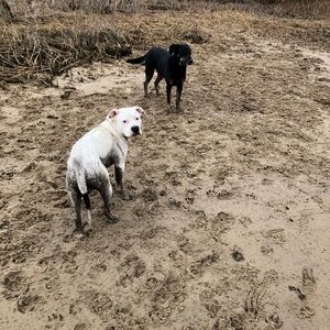 Meet your Posher, Patrick keith